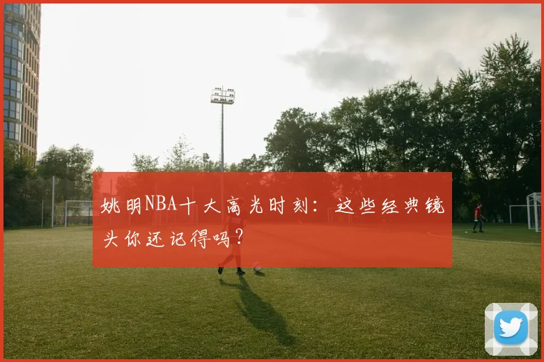 姚明NBA十大高光时刻：这些经典镜头你还记得吗？