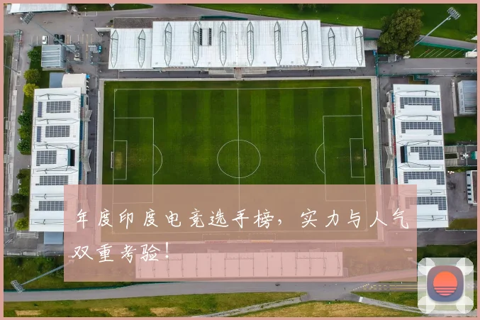 年度印度电竞选手榜，实力与人气双重考验！