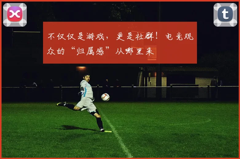 不仅仅是游戏，更是社群！电竞观众的“归属感”从哪里来
