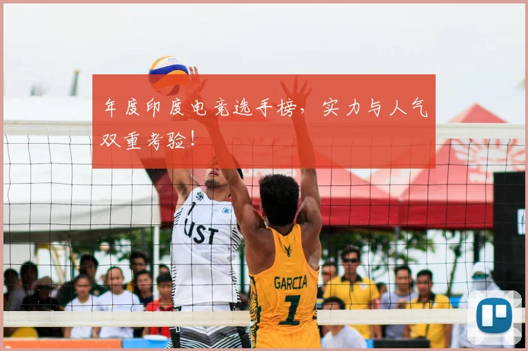 年度印度电竞选手榜，实力与人气双重考验！